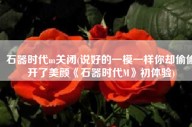 石器时代m关闭(说好的一模一样你却偷偷开了美颜《石器时代M》初体验)