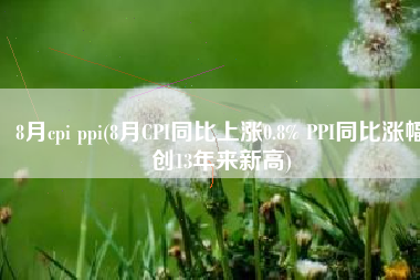 8月cpi ppi(8月CPI同比上涨0.8% PPI同比涨幅创13年来新高)