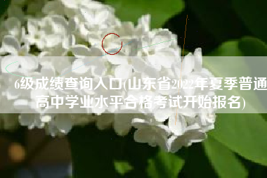 6级成绩查询入口(山东省2022年夏季普通高中学业水平合格考试开始报名)