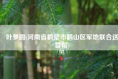 叶梦圆(河南省鹤壁市鹤山区军地联合送喜报)