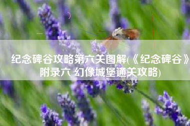 纪念碑谷攻略第六关图解(《纪念碑谷》附录六 幻像城堡通关攻略)