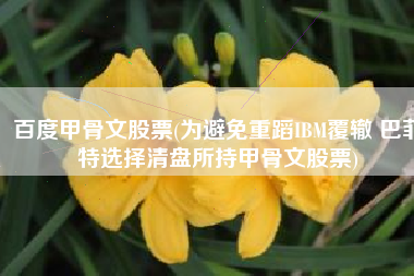 百度甲骨文股票(为避免重蹈IBM覆辙 巴菲特选择清盘所持甲骨文股票)