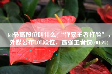 lol最高段位叫什么(“弹幕王者打脸”，外媒公布LOL段位，最强王者仅0.015%)