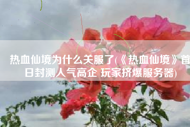 热血仙境为什么关服了(《热血仙境》首日封测人气高企 玩家挤爆服务器)
