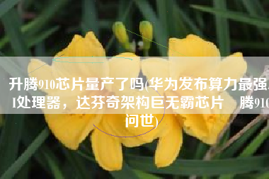 升腾910芯片量产了吗(华为发布算力最强AI处理器，达芬奇架构巨无霸芯片昇腾910问世)