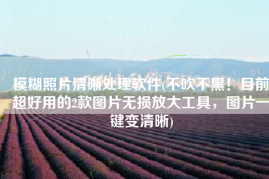 模糊照片清晰处理软件(不吹不黑！目前超好用的2款图片无损放大工具，图片一键变清晰)