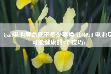 ipad电池寿命低于多少要换(让 iPad 电池尽可能健康的8个技巧)