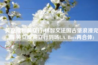 黄立成和黄立行(林智文法国古堡浪漫完婚 黄立成黄立行到场L.A. Boyz再合体)