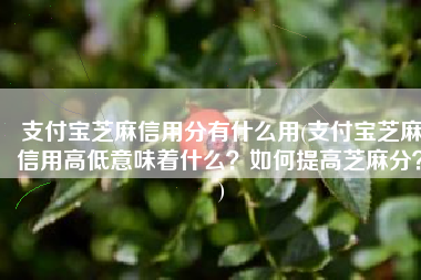 支付宝芝麻信用分有什么用(支付宝芝麻信用高低意味着什么？如何提高芝麻分？)