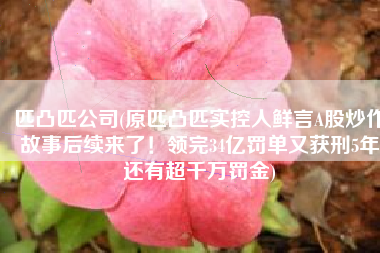 匹凸匹公司(原匹凸匹实控人鲜言A股炒作故事后续来了！领完34亿罚单又获刑5年还有超千万罚金)
