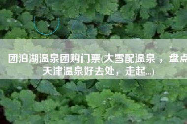 团泊湖温泉团购门票(大雪配温泉 ，盘点天津温泉好去处，走起...)