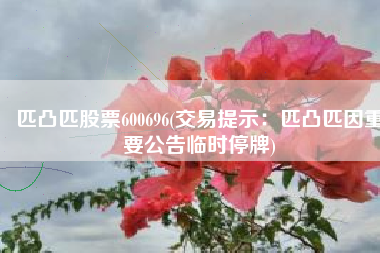 匹凸匹股票600696(交易提示：匹凸匹因重要公告临时停牌)