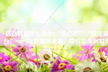 匹凸匹是什么意思(“匹凸匹”“国龙茅台”……证券简称更名、撞脸乱象何时休？)