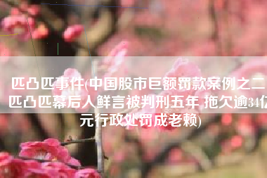 匹凸匹事件(中国股市巨额罚款案例之二：匹凸匹幕后人鲜言被判刑五年 拖欠逾34亿元行政处罚成老赖)