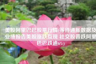 美股阿里巴巴股票行情(等待通胀数据及业绩报告美股涨跌互现 社交股普跌阿里巴巴跌逾6%)