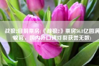战狼2目前票房(《战狼2》票房56.8亿圆满收官，国内外口碑炸裂获誉无数)