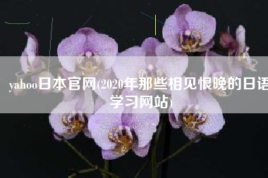 yahoo日本官网(2020年那些相见恨晚的日语学习网站)