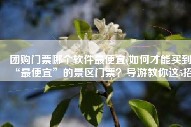 团购门票哪个软件最便宜(如何才能买到“最便宜”的景区门票？导游教你这5招)