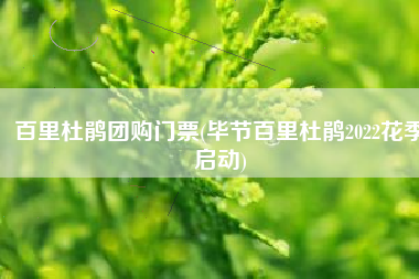 百里杜鹃团购门票(毕节百里杜鹃2022花季启动)