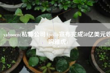 yahoocn(私募公司Apollo宣布完成50亿美元收购雅虎)