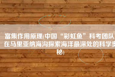 富集作用原理(中国“彩虹鱼”科考团队：在马里亚纳海沟探索海洋最深处的科学奥秘)