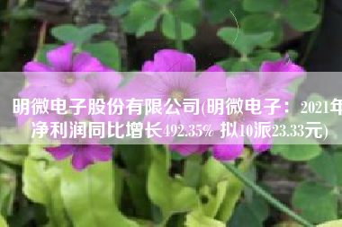 明微电子股份有限公司(明微电子：2021年净利润同比增长492.35% 拟10派23.33元)