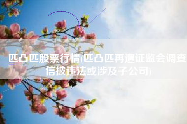 匹凸匹股票行情(匹凸匹再遭证监会调查 信披违法或涉及子公司)