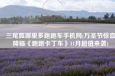 三尾狐哪里多跑跑车手机网(万圣节惊喜降临《跑跑卡丁车》11月超值来袭)