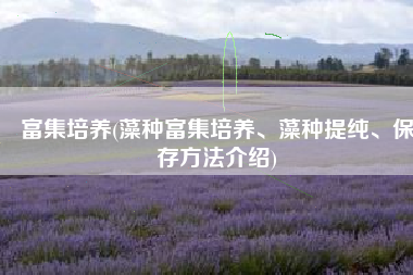 富集培养(藻种富集培养、藻种提纯、保存方法介绍)