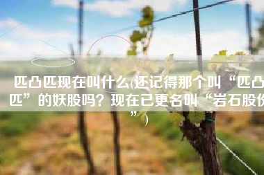 匹凸匹现在叫什么(还记得那个叫“匹凸匹”的妖股吗？现在已更名叫“岩石股份”)
