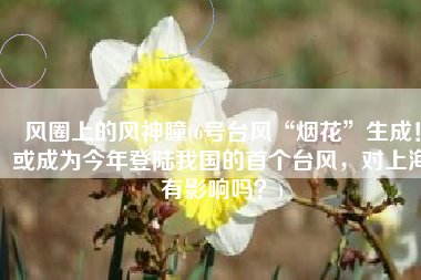 风圈上的风神瞳(6号台风“烟花”生成！或成为今年登陆我国的首个台风，对上海有影响吗？)