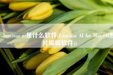 luminar ai是什么软件(Luminar AI for Mac (AI照片编辑软件))