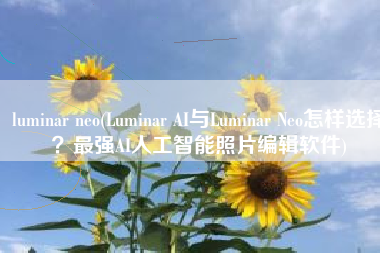 luminar neo(Luminar AI与Luminar Neo怎样选择？最强AI人工智能照片编辑软件)