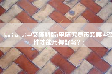 luminar ai中文破解版(电脑究竟该装哪些软件才能用得舒畅？)