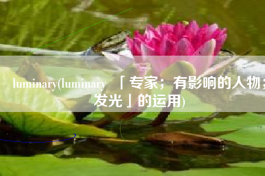 luminary(luminary  「专家；有影响的人物；发光」的运用)