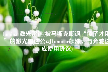 luminar激光雷达(被马斯克嘲讽“傻子才用”的激光雷达公司Luminar飙涨，与奔驰达成使用协议)