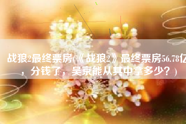 战狼2最终票房(《战狼2》最终票房56.78亿，分钱了，吴京能从其中拿多少？)
