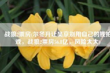 战狼2票房(尔冬升让吴京别用自己的钱拍戏，战狼2票房56.8亿，风险太大)