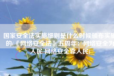 国家安全法实施细则是什么时候颁布实施的(《网络安全法》五周年：网络安全为人民 网络安全靠人民)