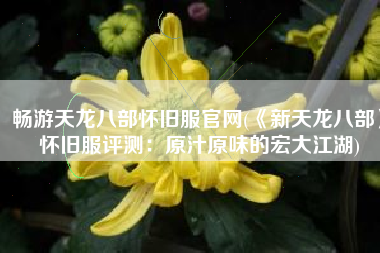 畅游天龙八部怀旧服官网(《新天龙八部》怀旧服评测：原汁原味的宏大江湖)
