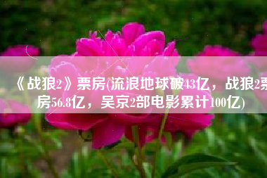 《战狼2》票房(流浪地球破43亿，战狼2票房56.8亿，吴京2部电影累计100亿)