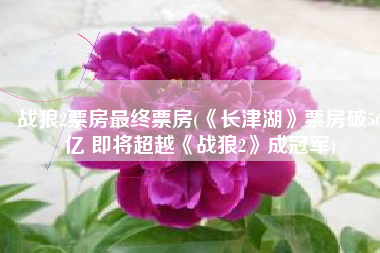 战狼2票房最终票房(《长津湖》票房破56亿 即将超越《战狼2》成冠军)