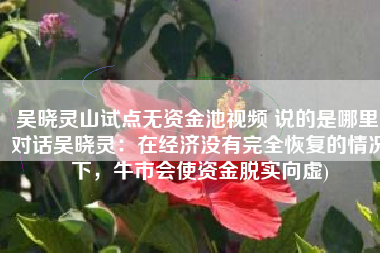 吴晓灵山试点无资金池视频 说的是哪里(对话吴晓灵：在经济没有完全恢复的情况下，牛市会使资金脱实向虚)