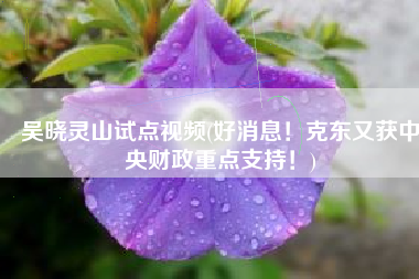 吴晓灵山试点视频(好消息！克东又获中央财政重点支持！)