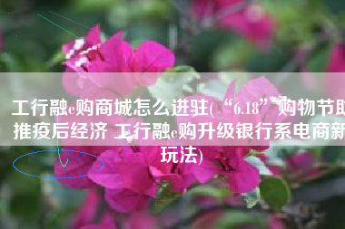 工行融e购商城怎么进驻(“6.18”购物节助推疫后经济 工行融e购升级银行系电商新玩法)