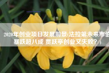 2020年创业项目发展前景(法拉第未来市值暴跌超八成 贾跃亭创业又失败？)