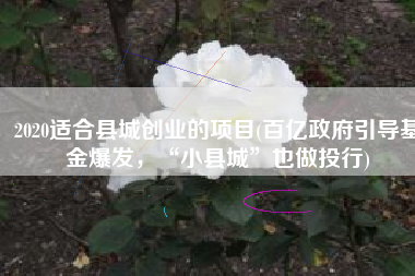2020适合县城创业的项目(百亿政府引导基金爆发，“小县城”也做投行)