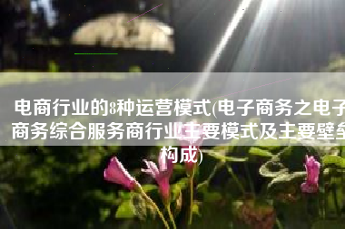 电商行业的8种运营模式(电子商务之电子商务综合服务商行业主要模式及主要壁垒构成)