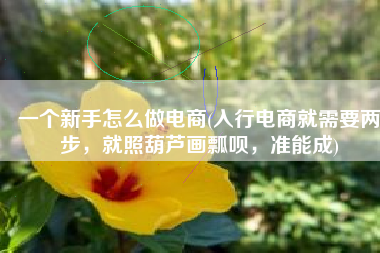 一个新手怎么做电商(入行电商就需要两步，就照葫芦画瓢呗，准能成)