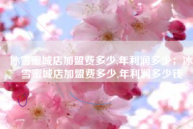 冰雪蜜城店加盟费多少,年利润多少；冰雪蜜城店加盟费多少,年利润多少钱